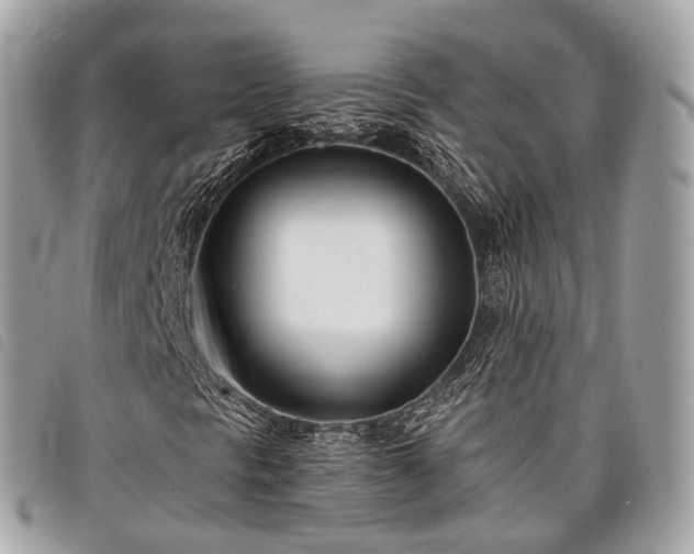 X0000098051297200804071457