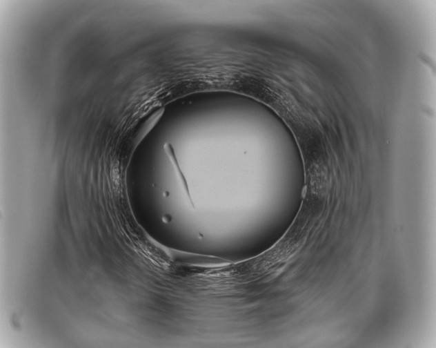 X0000098051298200804071457