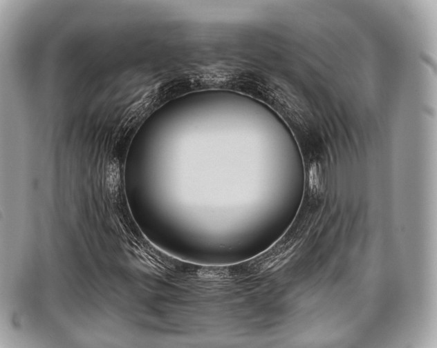 X0000098051299200804071457