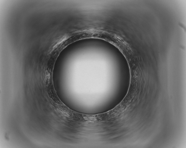 X0000098051302200804071457