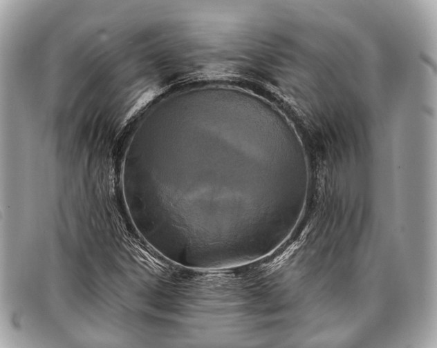 X0000098051306200804071457