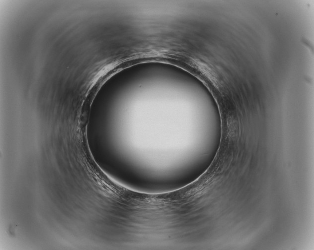 X0000098051308200804071457