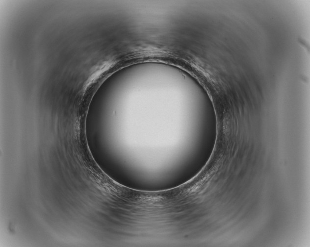 X0000098051309200804071457