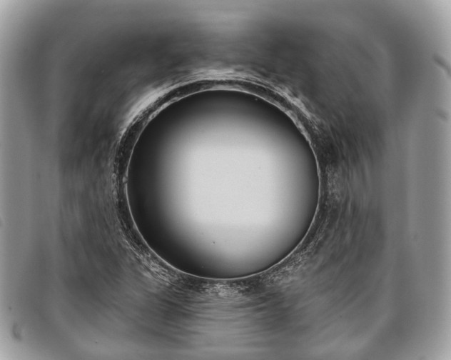 X0000098051311200804071457