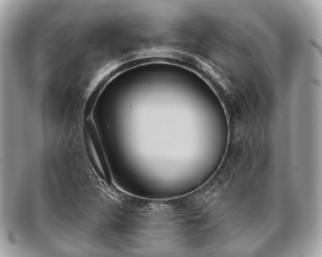 X0000098051312200804071457