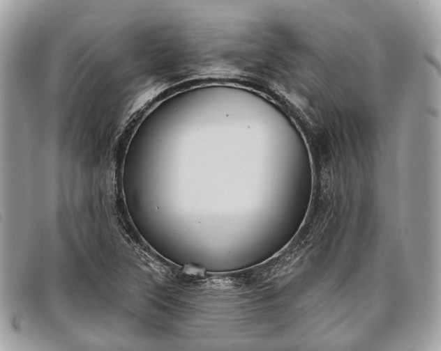 X0000098051315200804071457