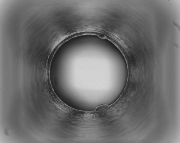 X0000098051316200804071457