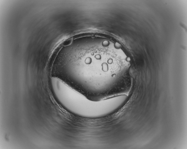 X0000098051318200804071457