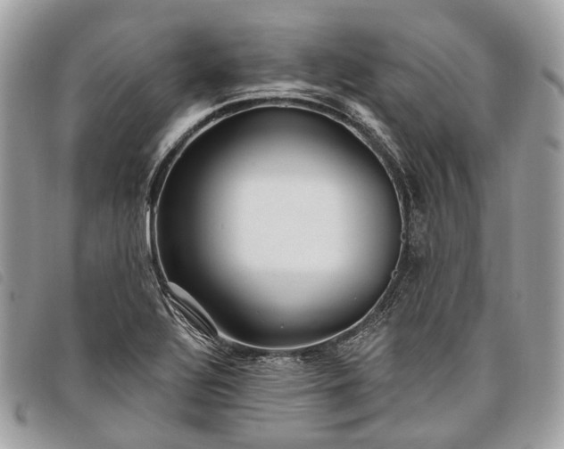 X0000098051320200804071457