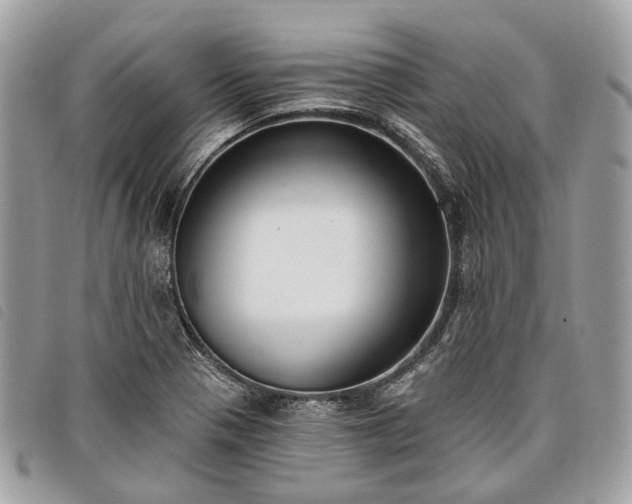 X0000098051321200804071457