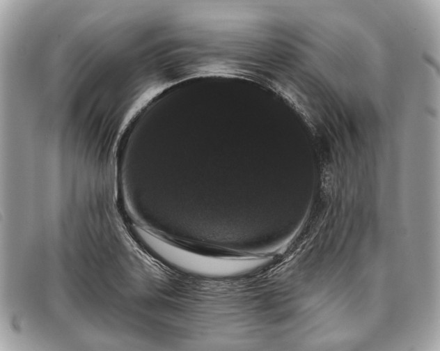 X0000098051323200804071457