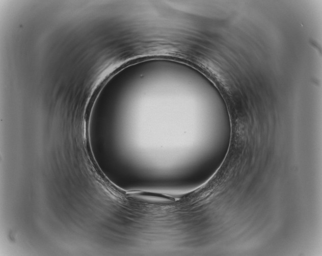 X0000098051324200804071457