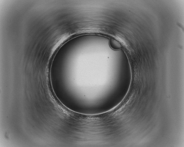 X0000098051325200804071457