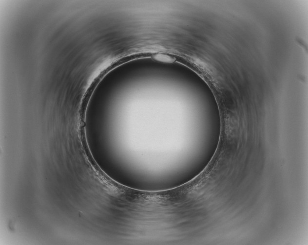 X0000098051326200804071457