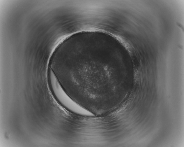 X0000098051327200804071457