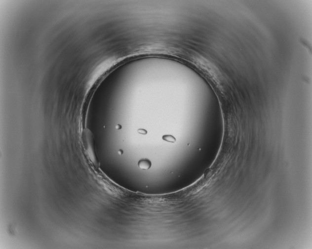 X0000098051328200804071457