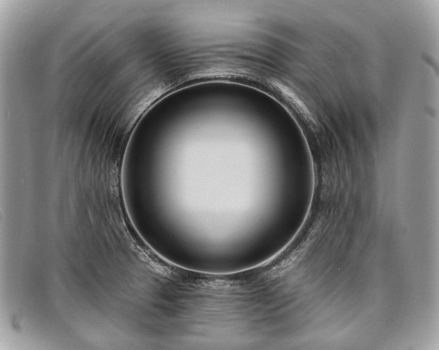 X0000098051329200804071457