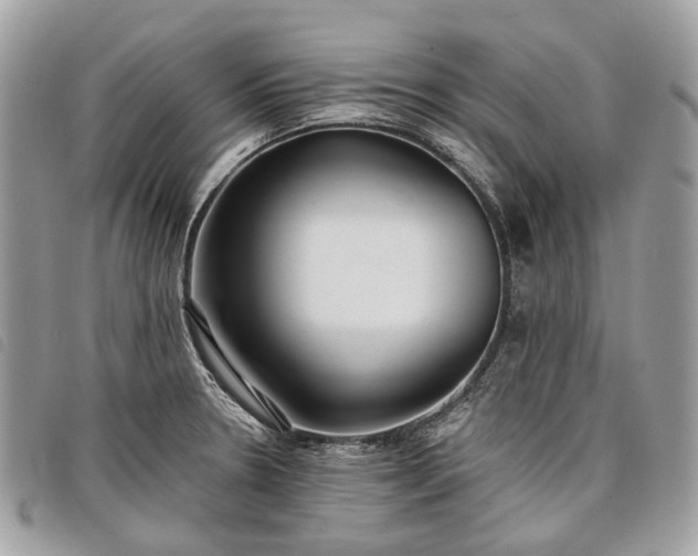 X0000098051330200804071457