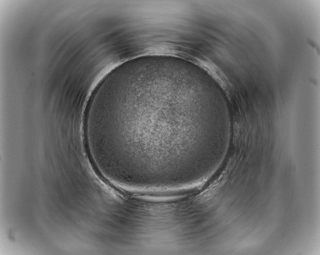 X0000098051331200804071457
