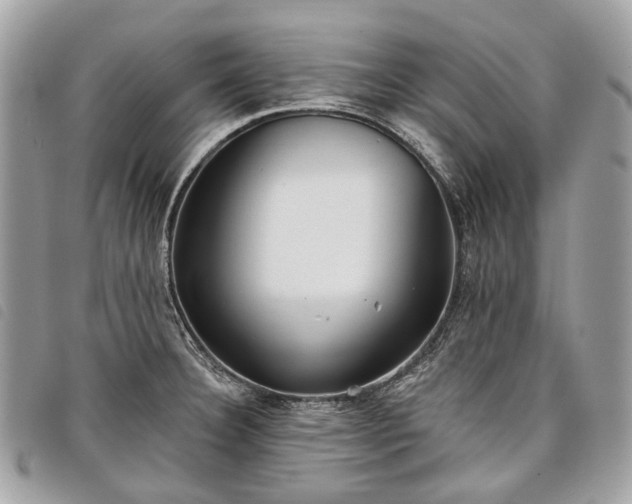 X0000098051332200804071458