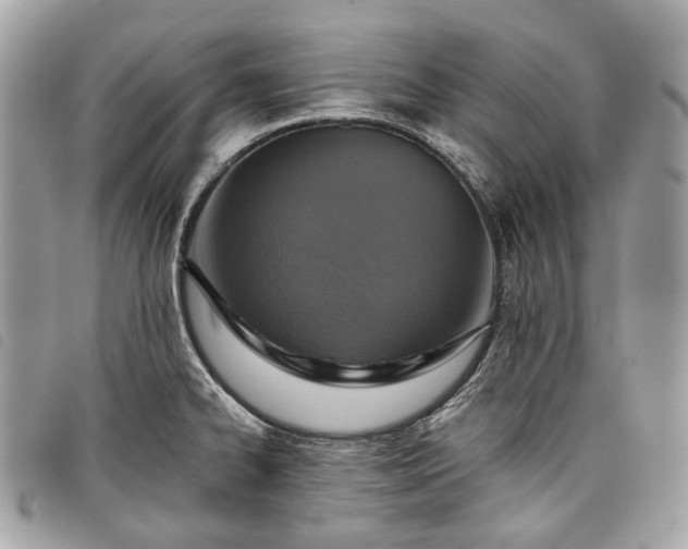 X0000098051334200804071458