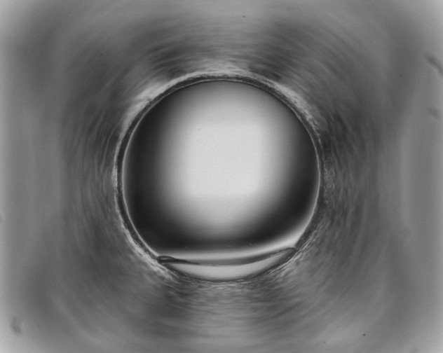 X0000098051335200804071458