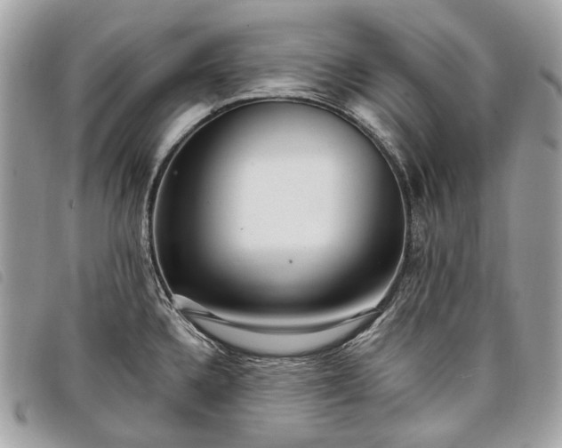 X0000098051336200804071458