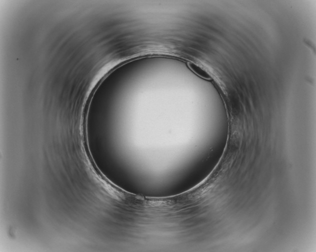 X0000098051339200804071458