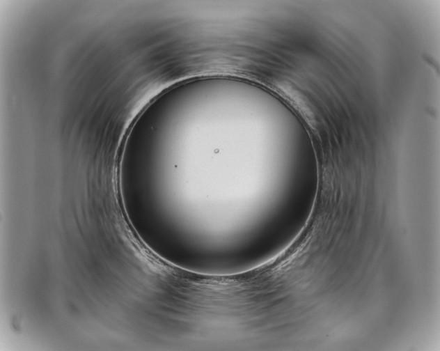 X0000098051340200804071458