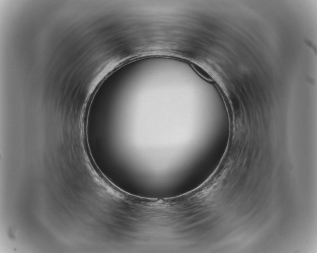 X0000098051341200804071458