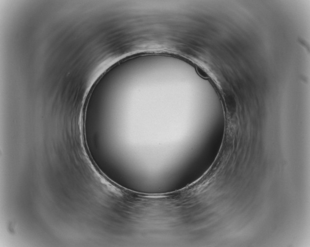 X0000098051343200804071458