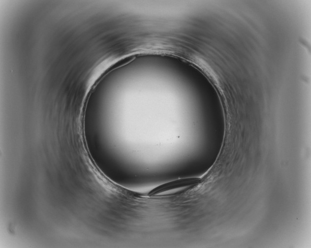 X0000098051344200804071458