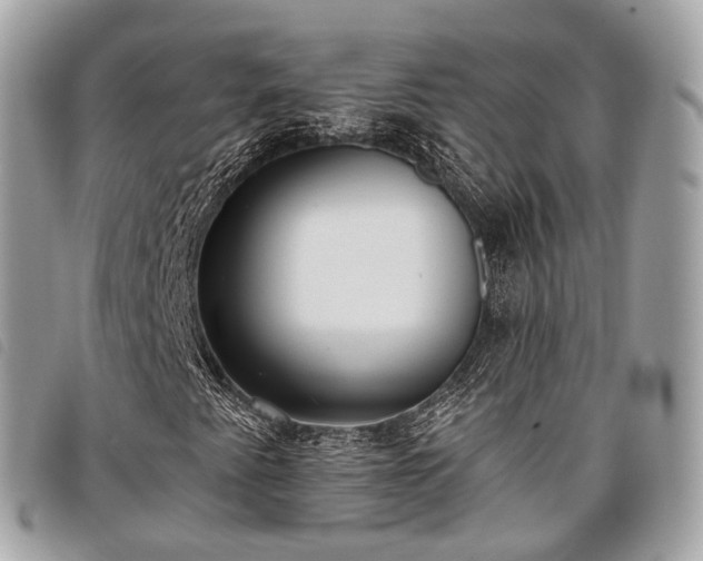 X0000098051345200804071457