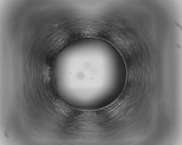 X0000098051346200804071457