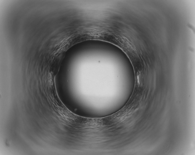 X0000098051347200804071457