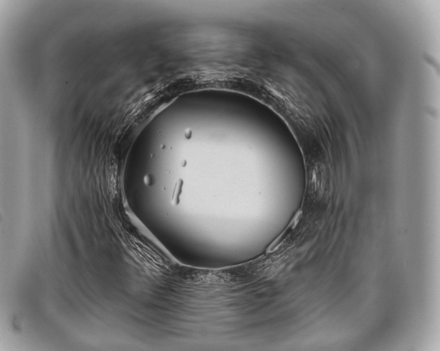 X0000098051348200804071457