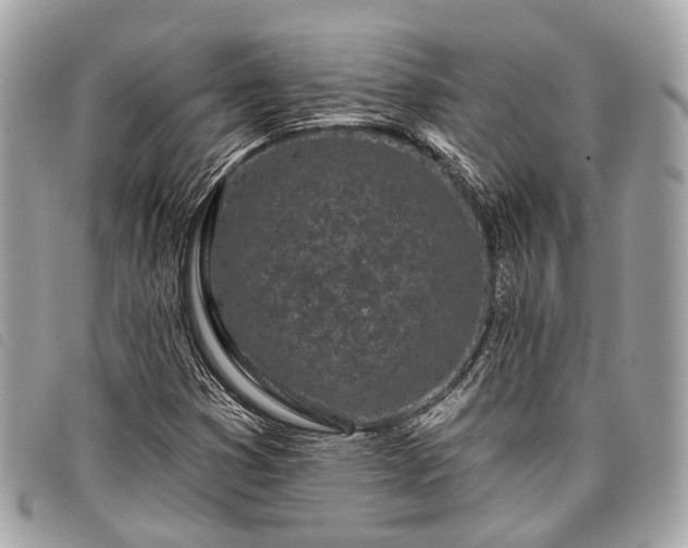 X0000098051353200804071457