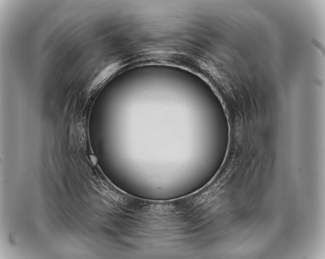 X0000098051354200804071457