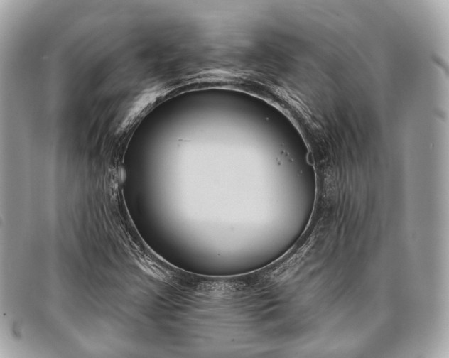 X0000098051355200804071457