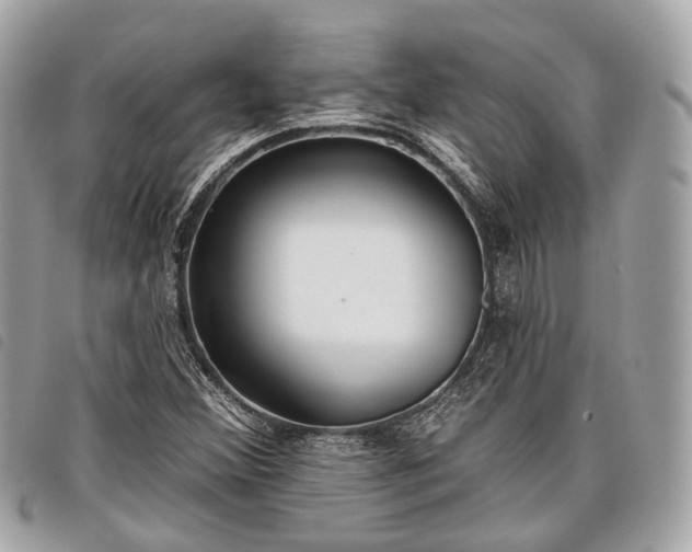 X0000098051356200804071457