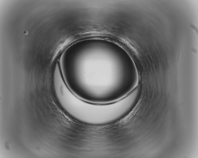 X0000098051357200804071457