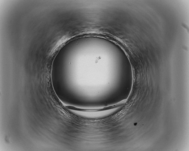 X0000098051359200804071456