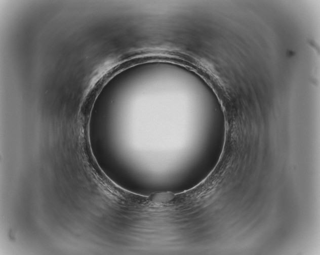 X0000098051360200804071456