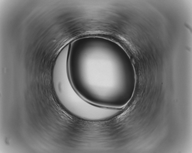 X0000098051361200804071456