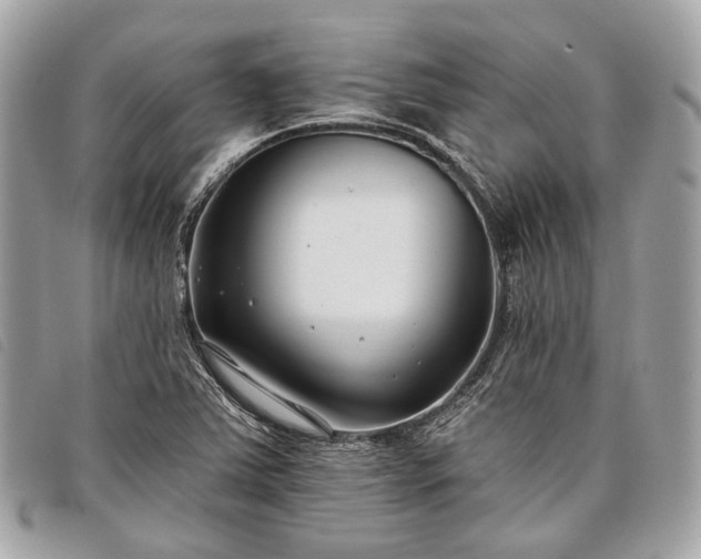 X0000098051363200804071456