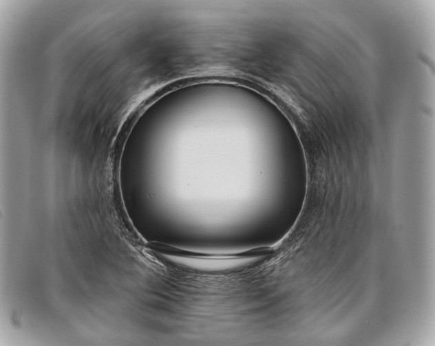 X0000098051364200804071456