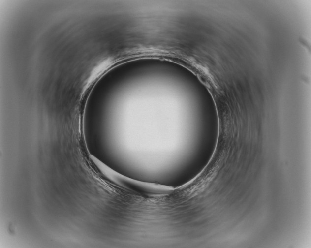 X0000098051365200804071456