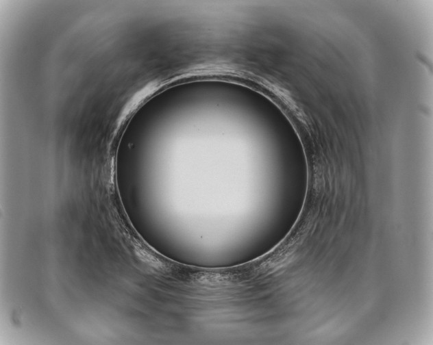 X0000098051366200804071456