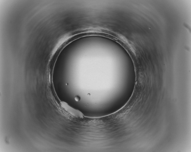 X0000098051368200804071456