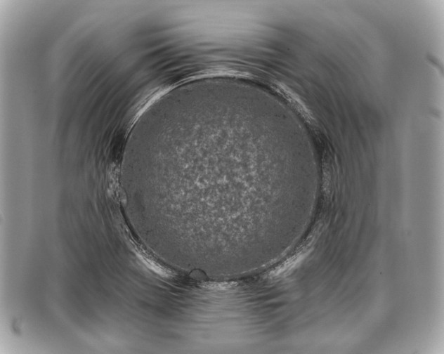 X0000098051369200804071456